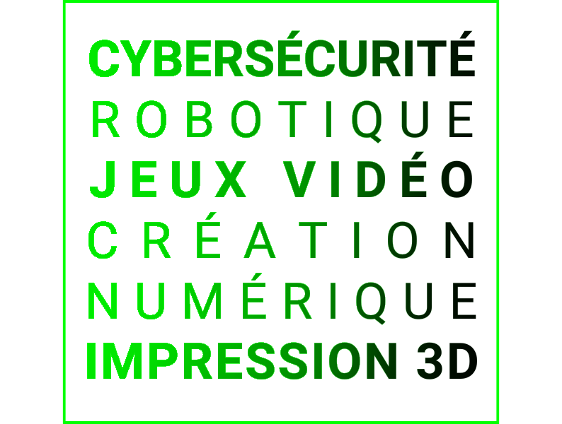 Programmation informatique ingénierie électronique système et réseau virtualisation création numérique marketing numériqque